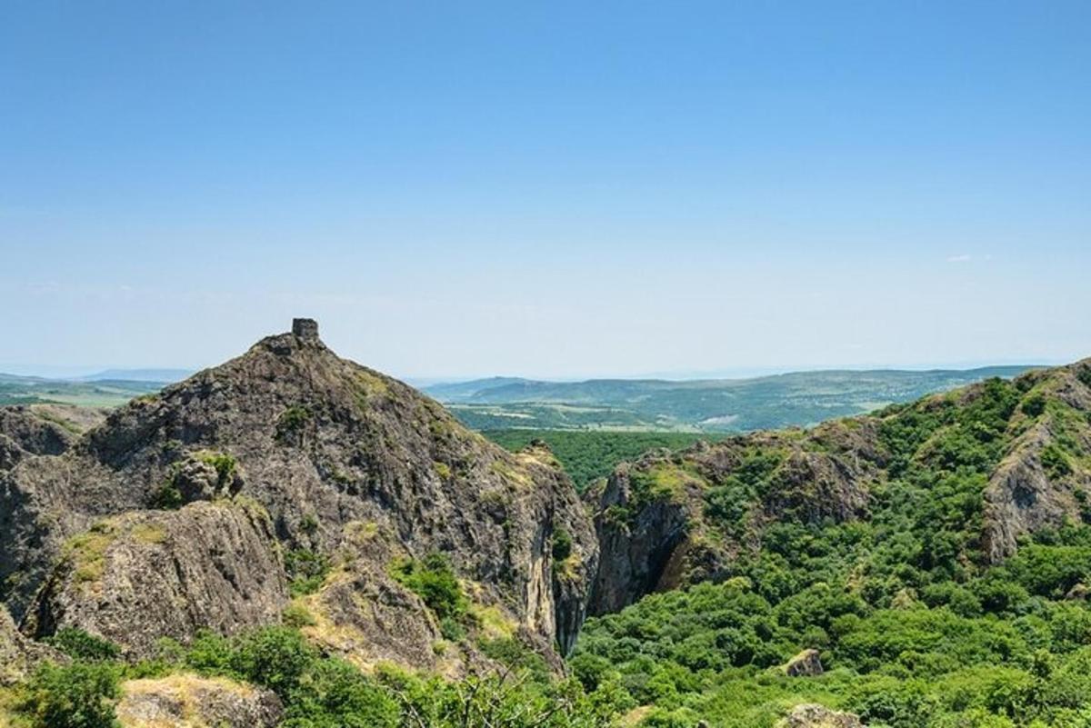 pemandangan gunung dengan pepohonan dan bebatuan