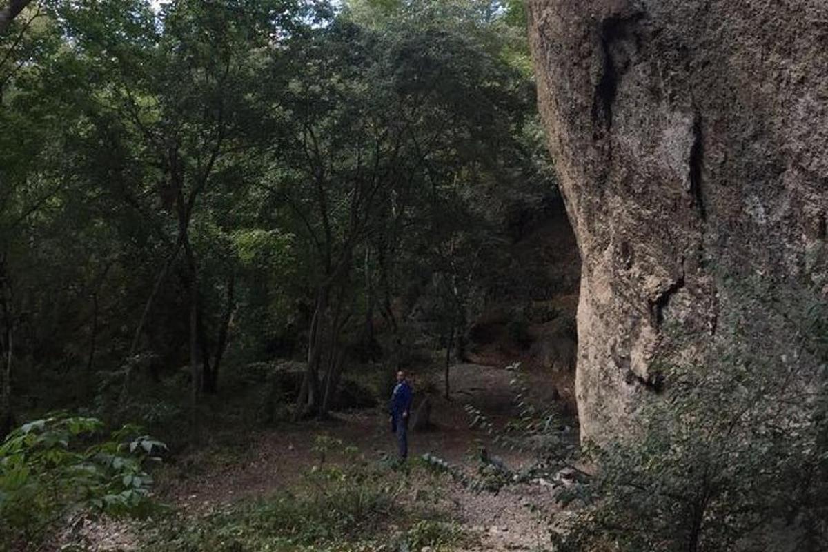 a person standing on a path in a forest