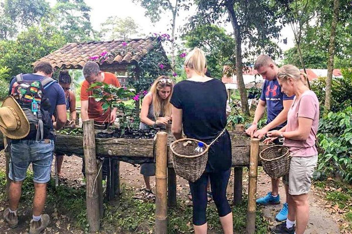 Fotografia da atração 1