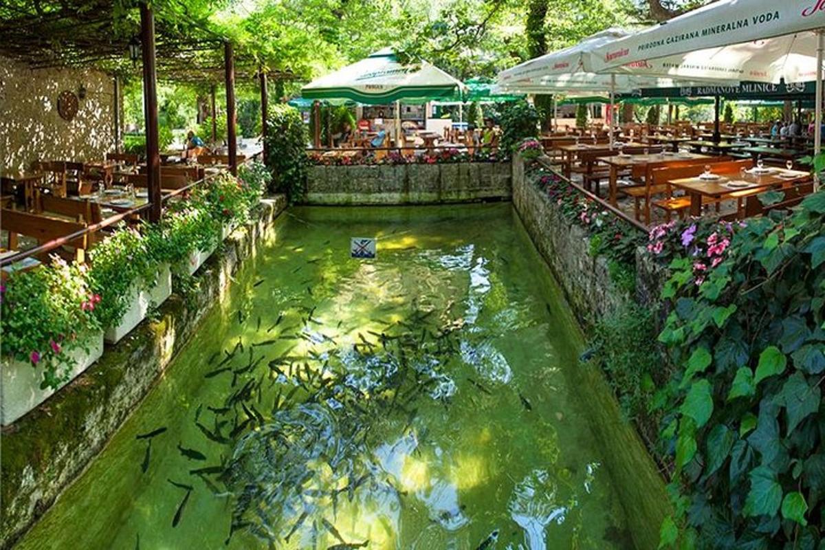 kolam koi di restoran dengan meja dan kerusi