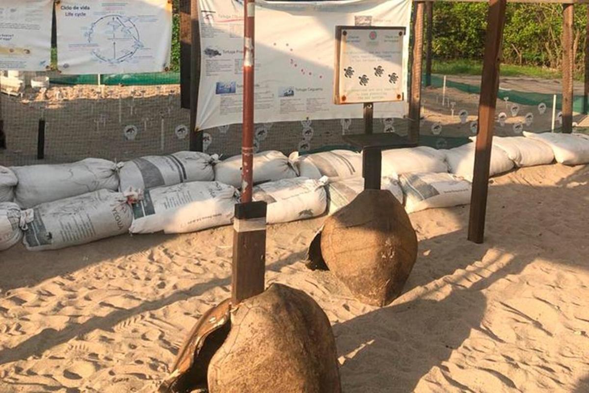 a display of apoptosis equipment on a sandy field