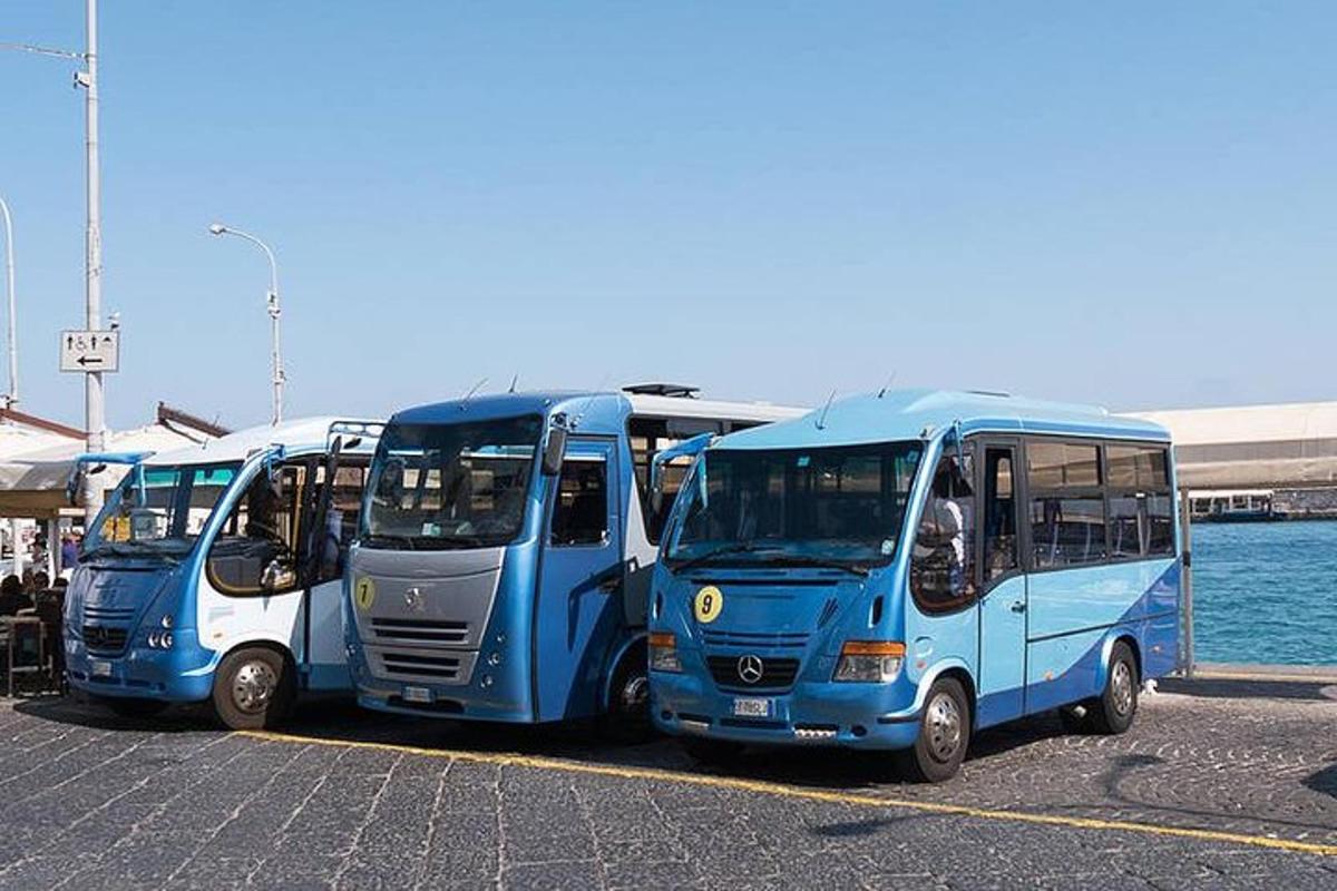 three blue buses parked in a parking lot
