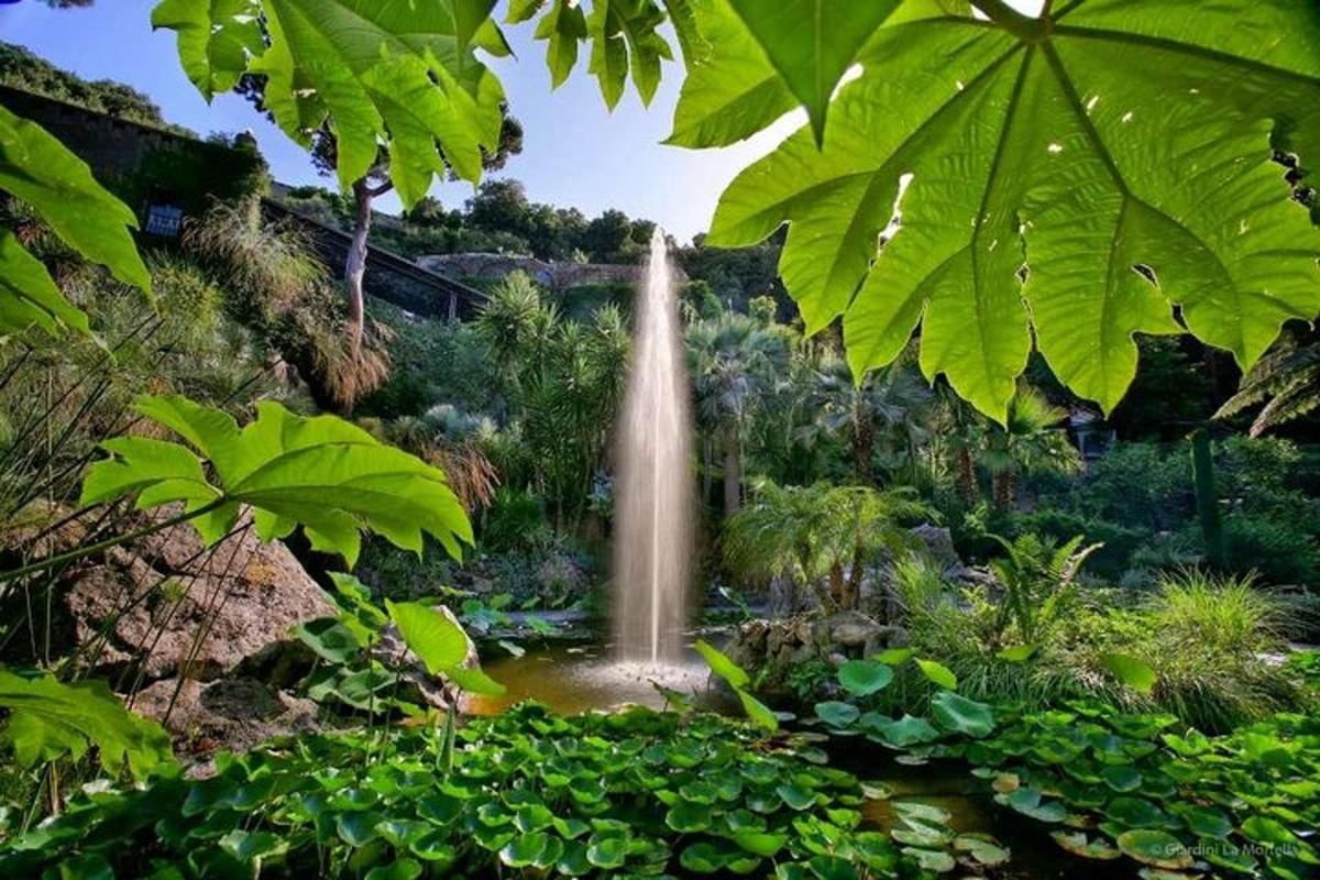 una cascada al mig d'un jardí amb plantes