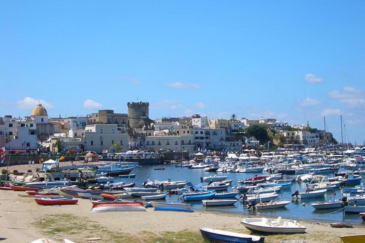 un munt de vaixells estan atracats en un port
