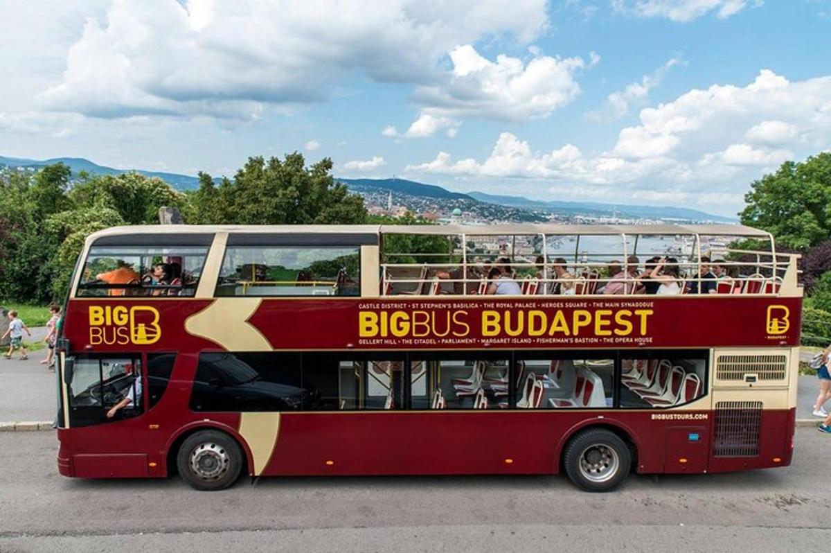 Фотография варианта досуга 5