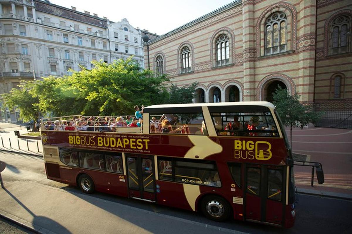 Фотография варианта досуга 6
