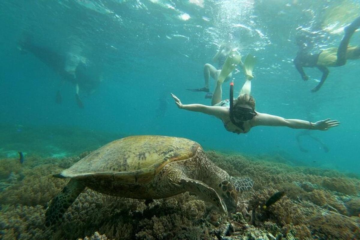 Lankytinos vietos ar pramogos nuotrauka numeris 7