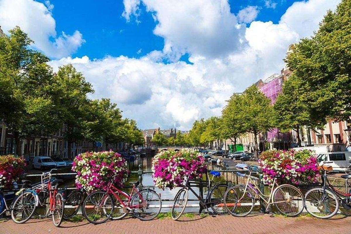 uma fileira de bicicletas estacionadas ao lado de um rio com flores