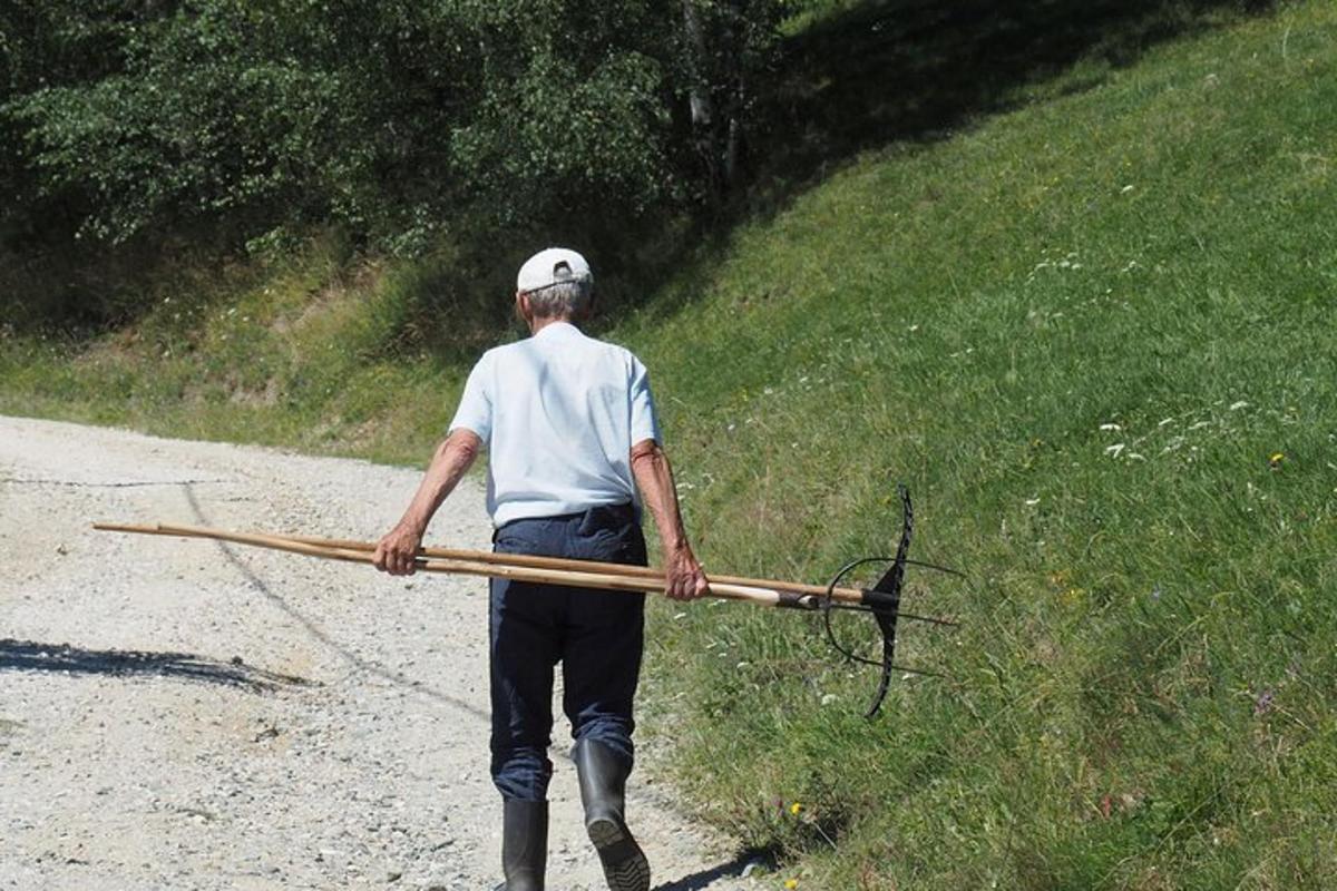 Fotografia 3 a atracției