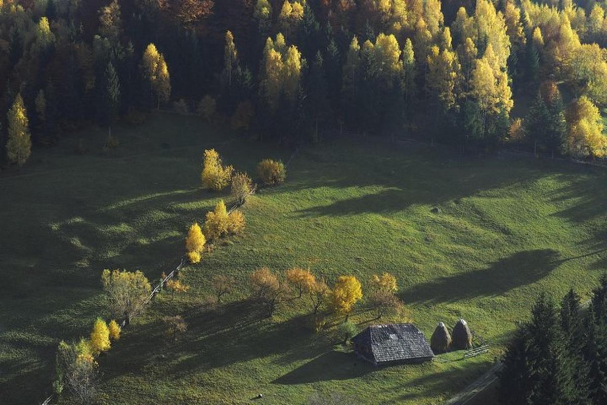 Fotografia 5 a atracției