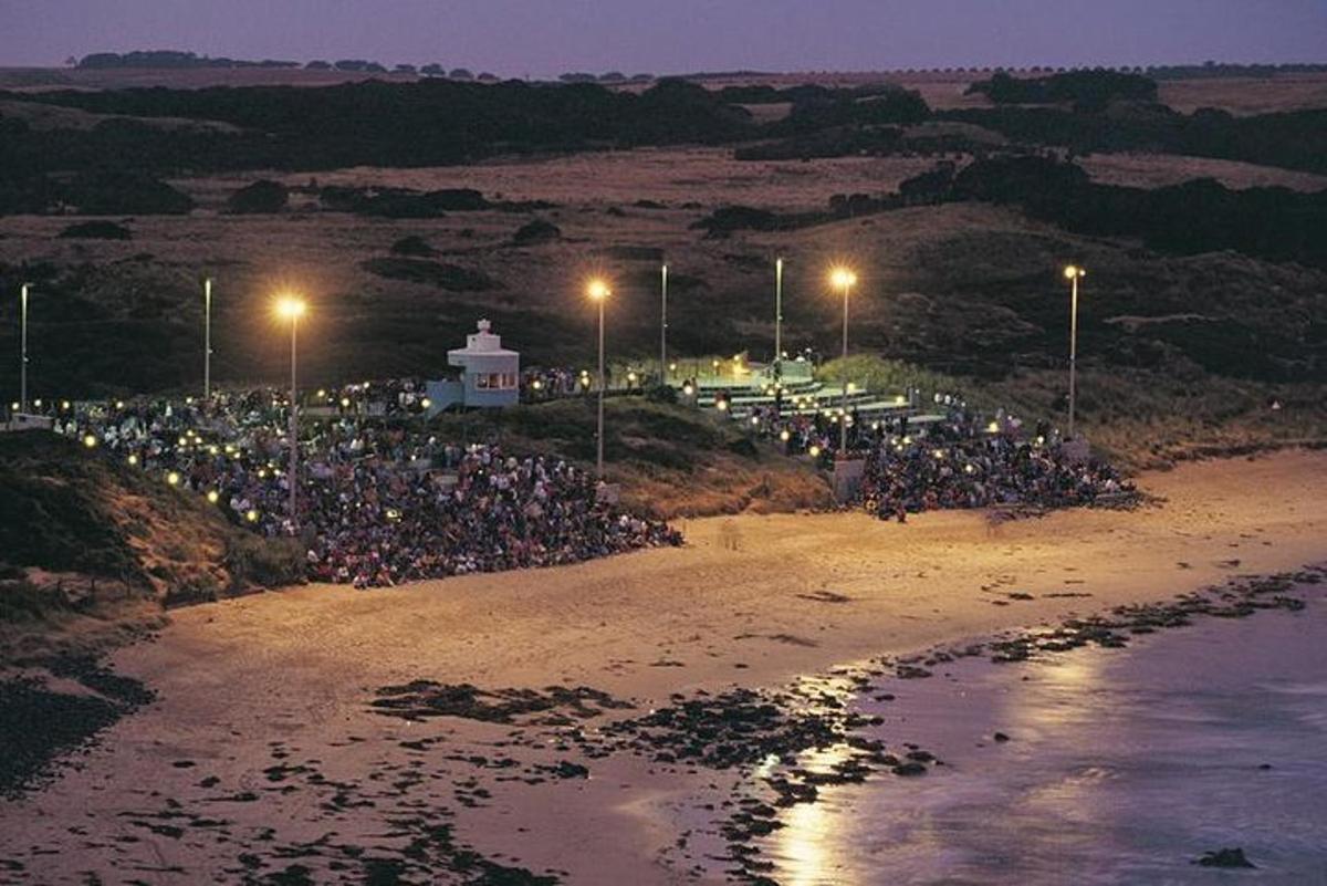a large crowd of people on a beach at night