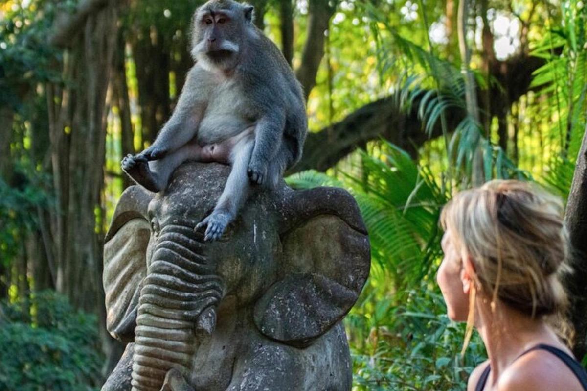 una scimmia seduta in cima a una statua di elefante