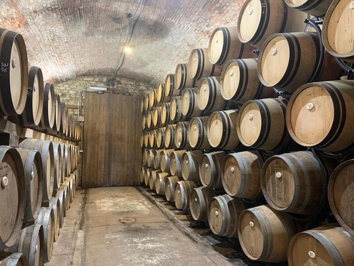 una fila di botti di vino in una cantina