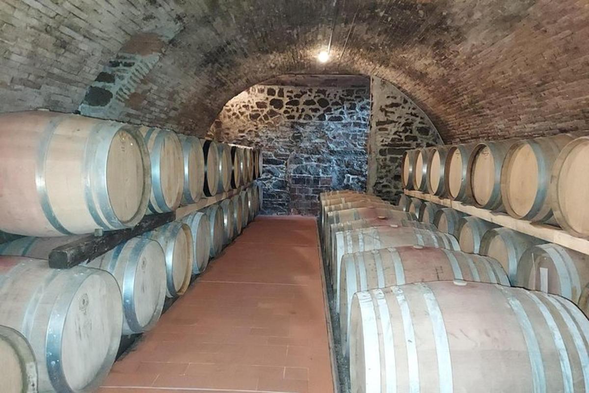 una fila di botti di vino in una cantina