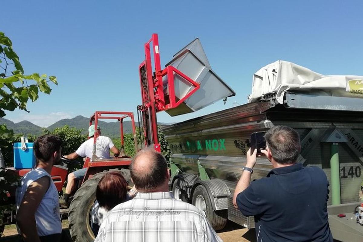 a group of people taking pictures of a truck