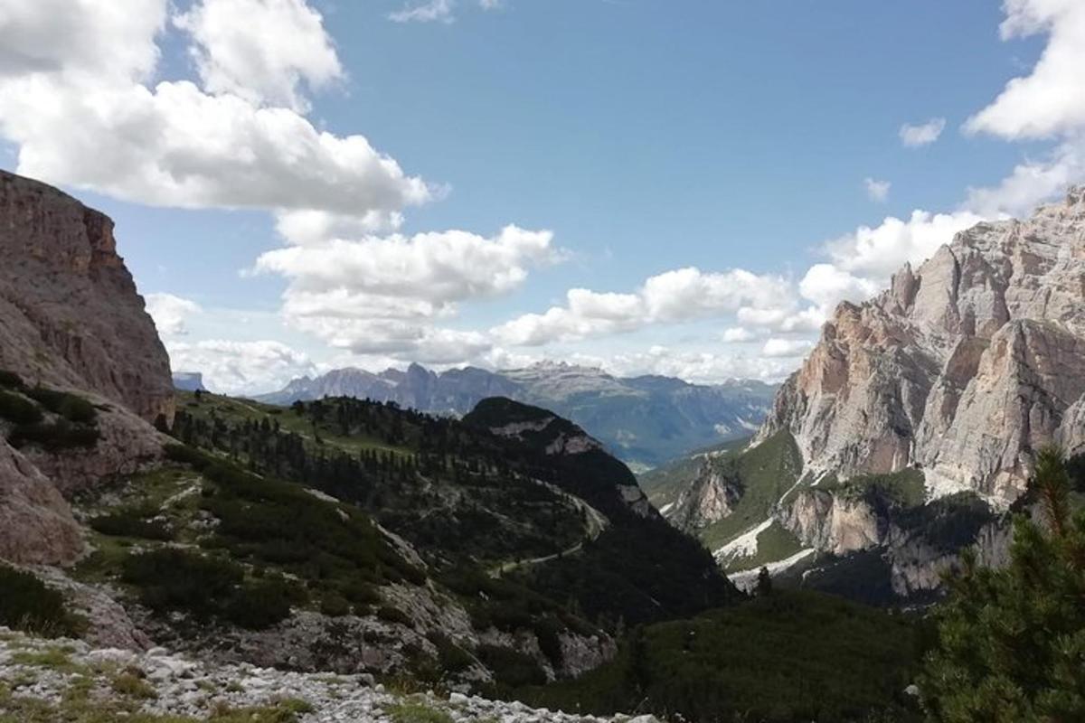una vista di un canyon con montagne e foreste