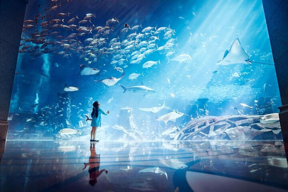 a girl standing in front of a large fish tank
