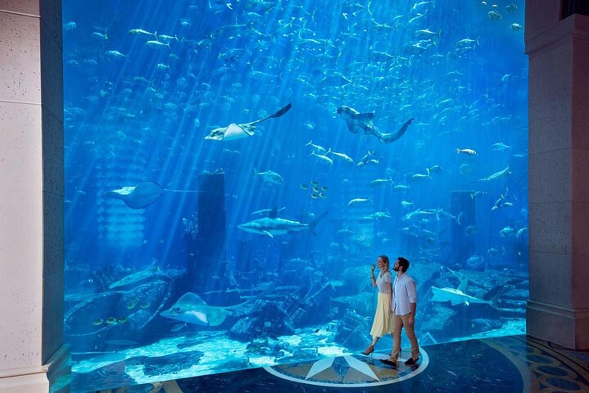 a couple standing in front of a large aquarium