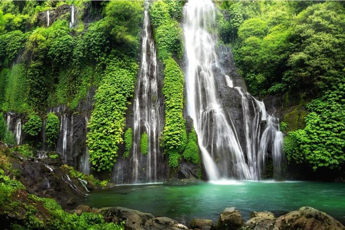 una cascata nella giungla con una pozza d'acqua
