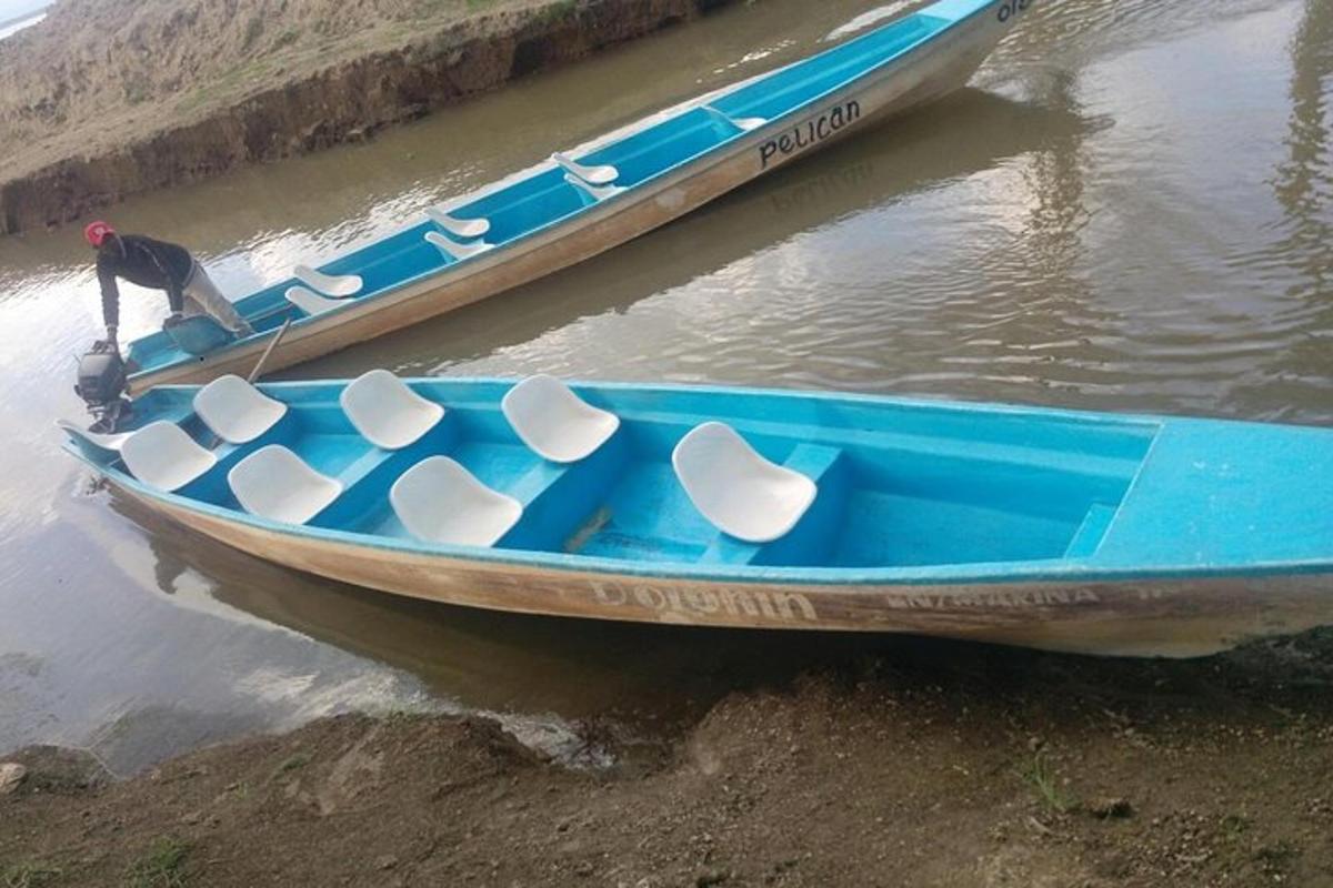 due barche blu e bianche sedute nell'acqua