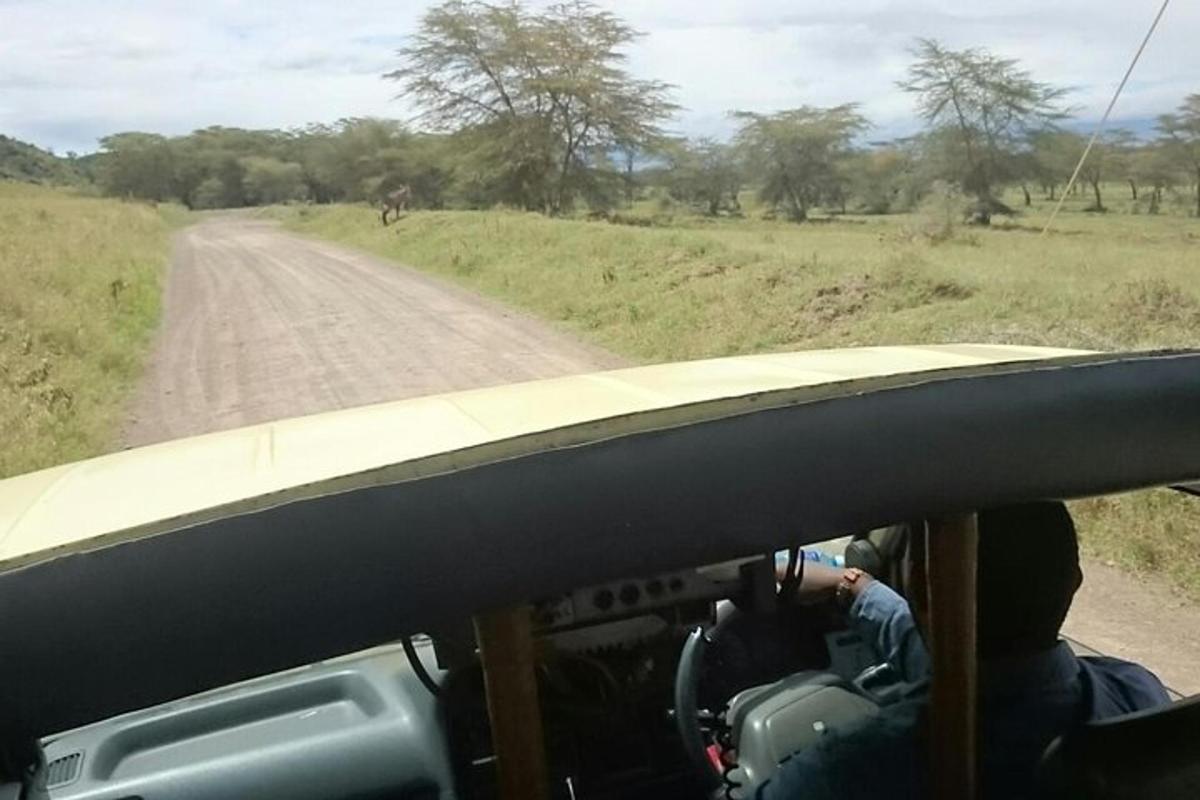 una persona que conduce un vehículo por un camino de tierra
