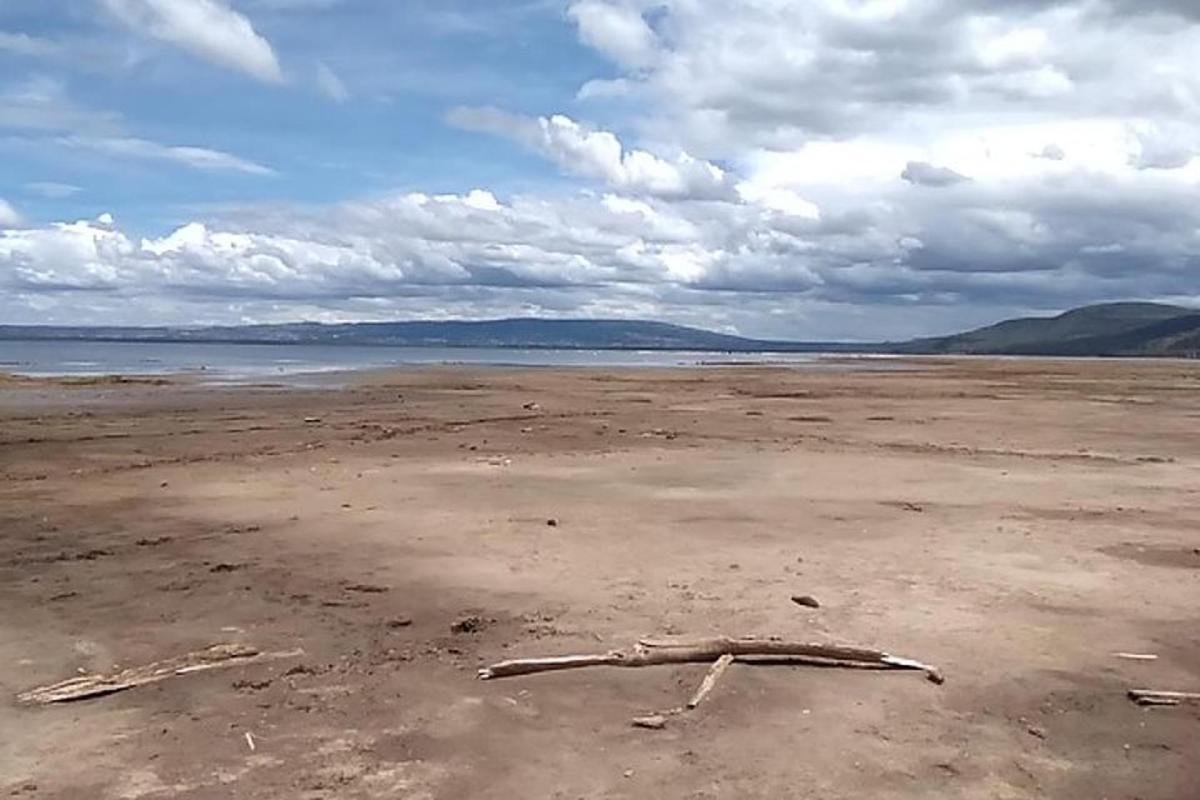 una playa con algunos palos en la arena