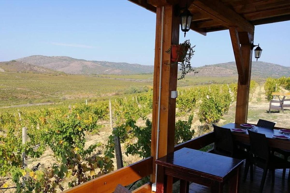 a porch with a table and a view of a vineyard
