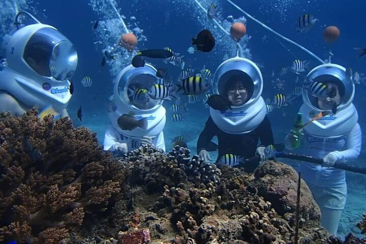 a group of people in an aquarium with fish
