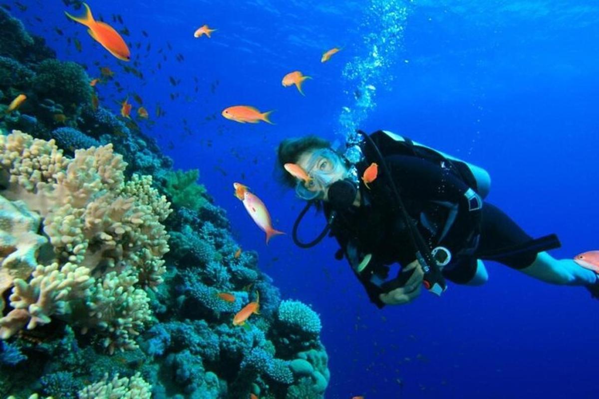 osoba plavající v oceánu poblíž korálového útesu