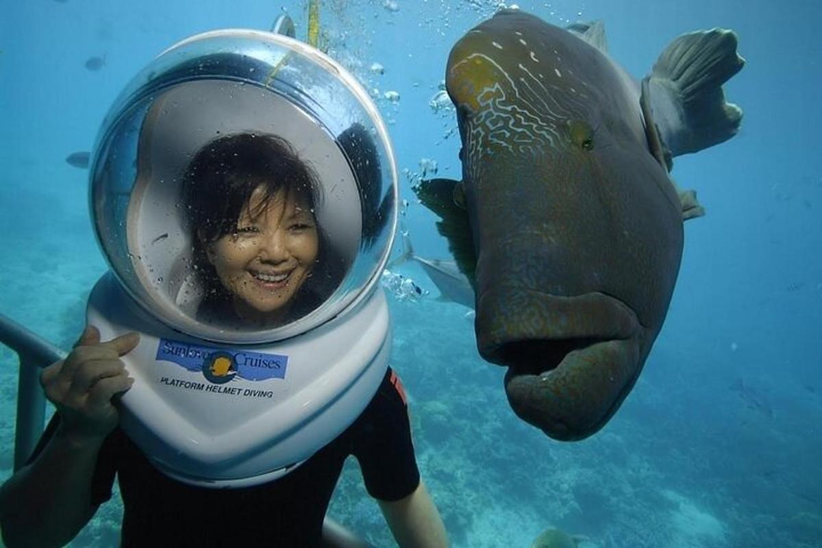 a person in a fish helmet with a fish head