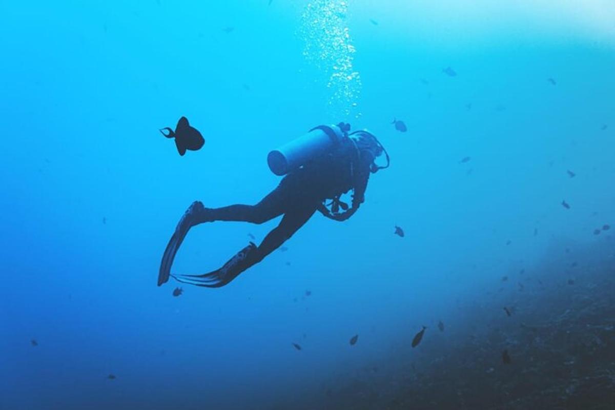 osoba plavající ve vodě v oceánu