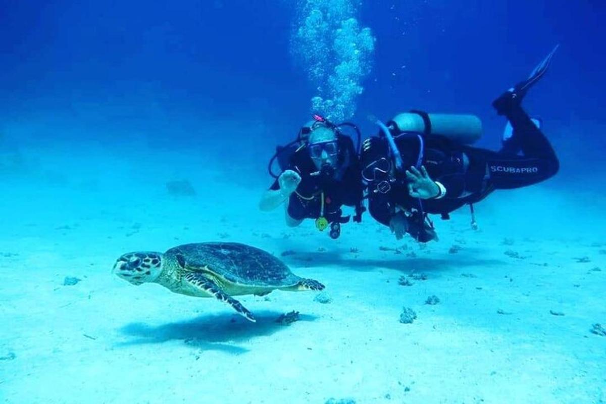 potápěč a želva v oceánu