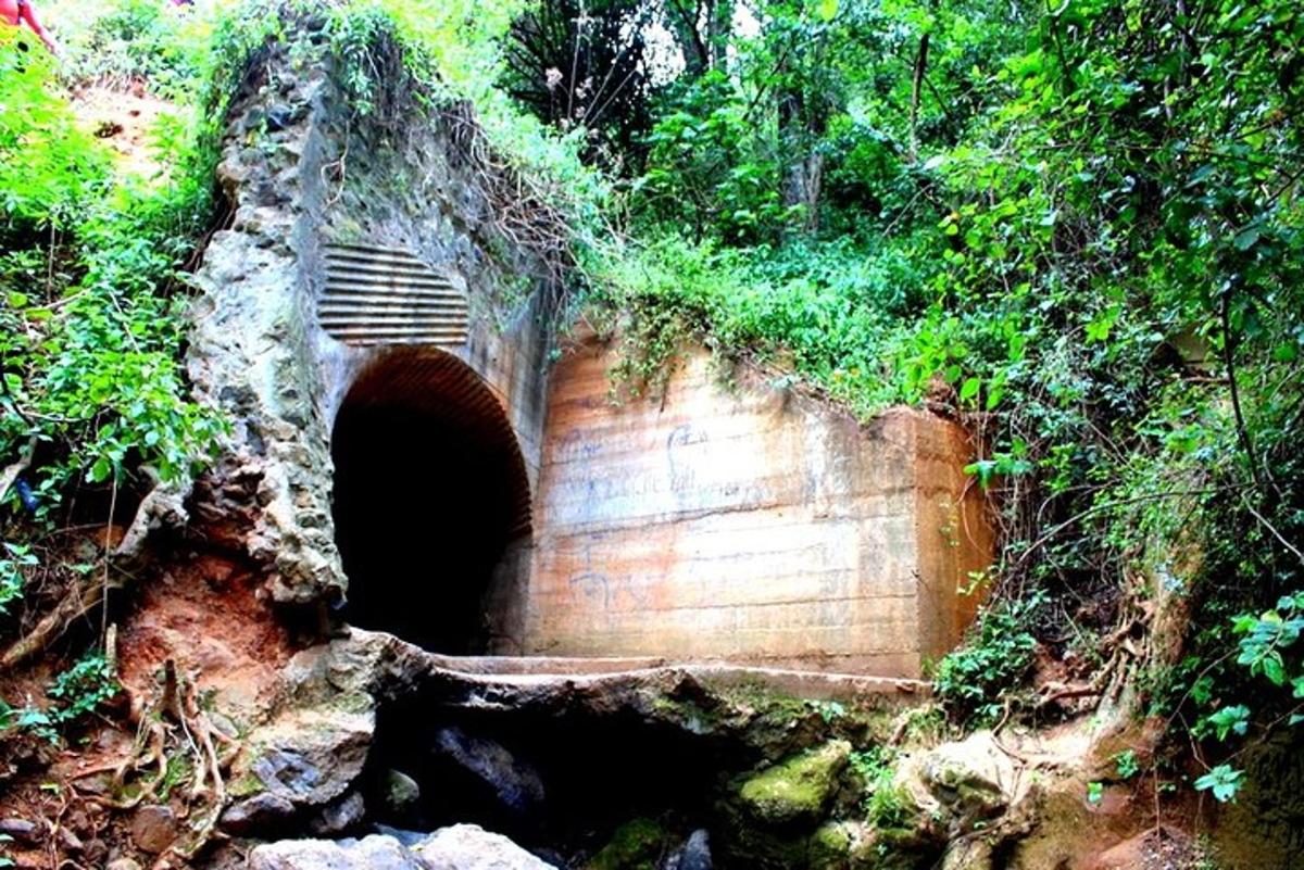 tunel uprostřed lesa