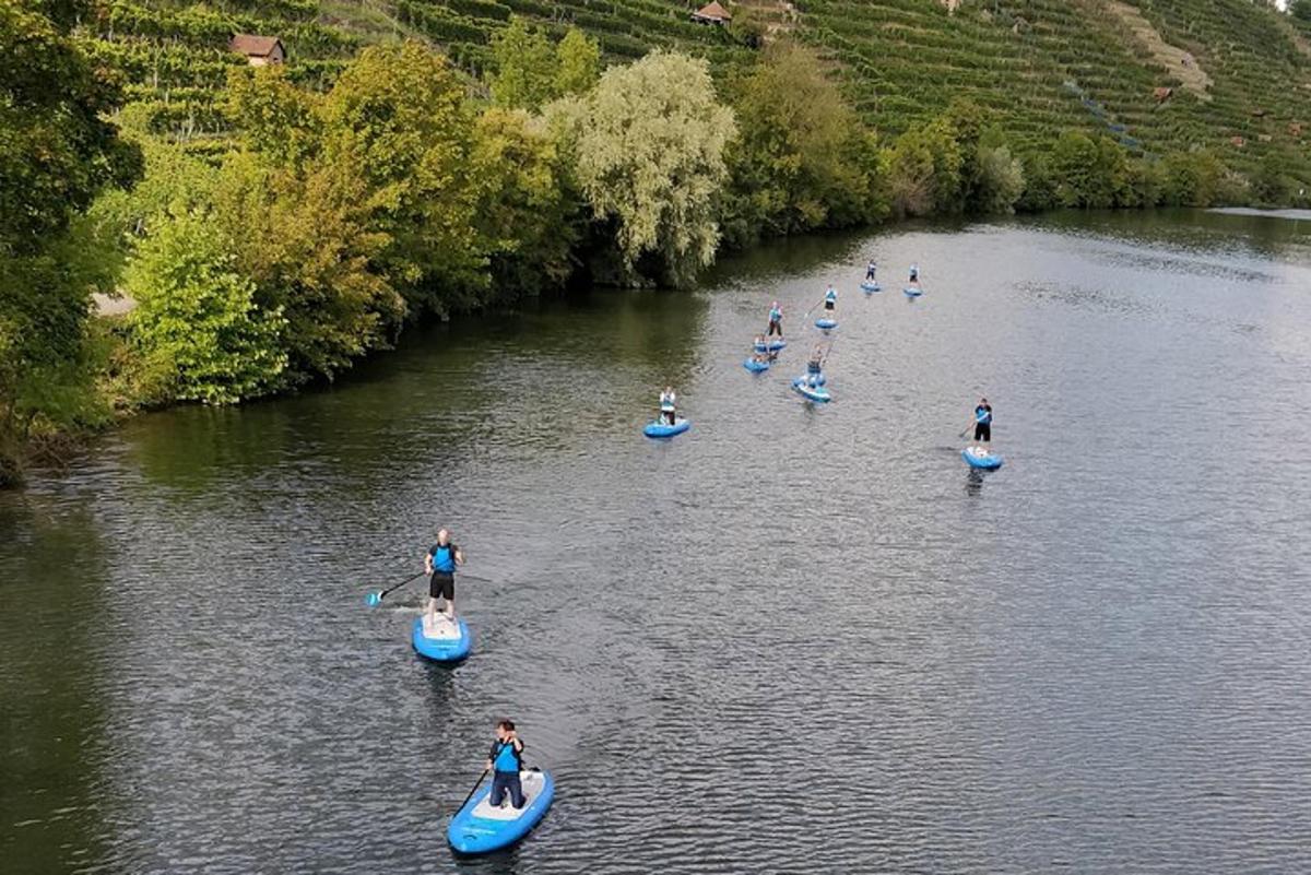 a group of people on paddle boards in a river