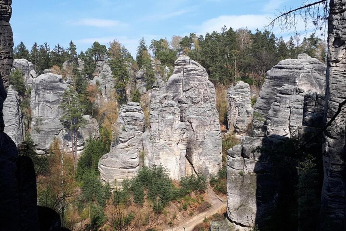 kivimite rühm, mis moodustub metsas