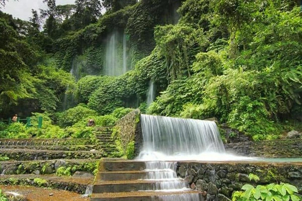 Una cascada en medio de un bosque con escaleras.