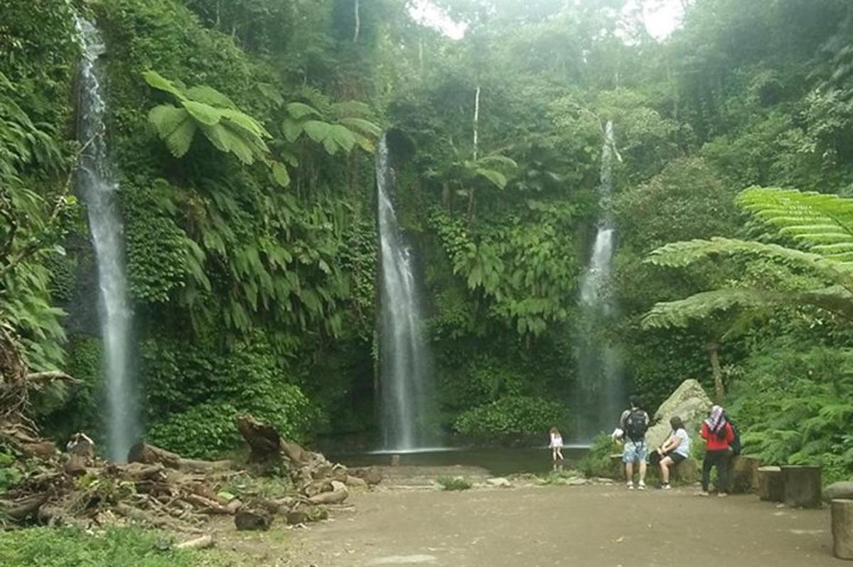 Un grupo de personas de pie frente a una cascada.