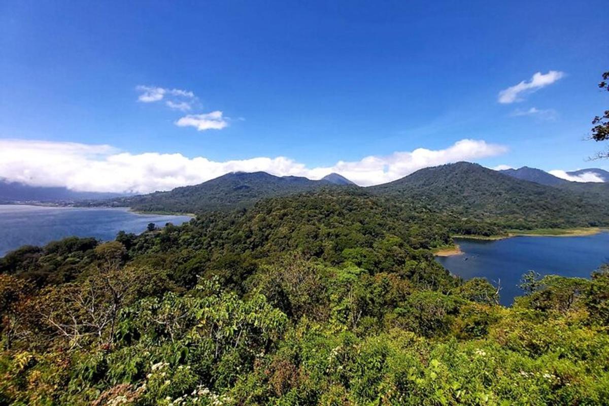 una vista aerea di una montagna con acqua e alberi