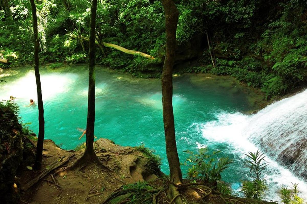 un fiume in mezzo a una foresta con acqua blu