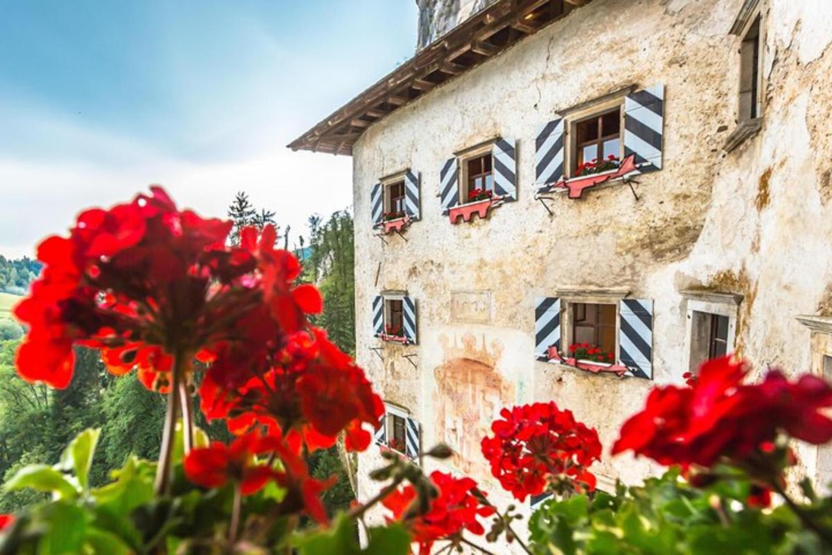 a group of red flowers in front of a building