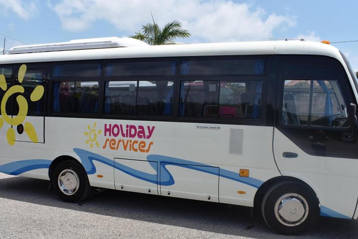 bílý autobus s namalovanou včelou na boku