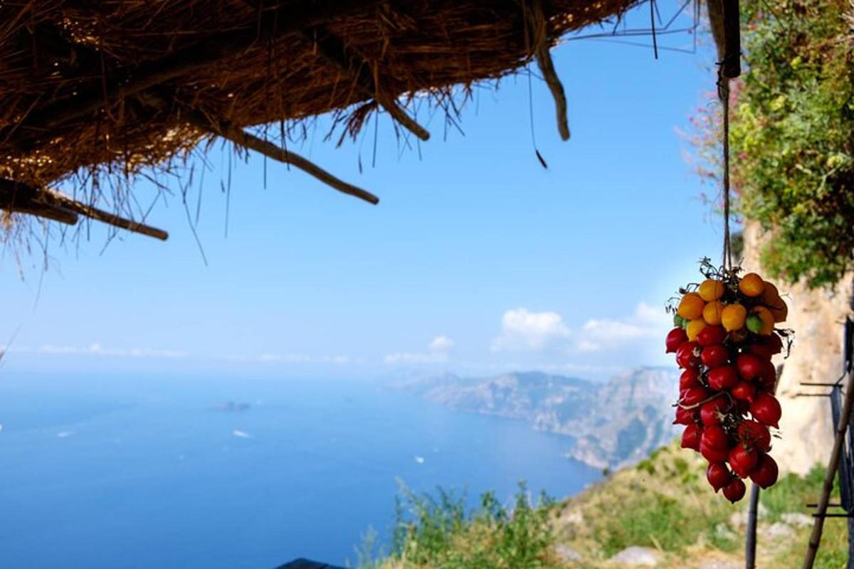 ένα μάτσο φρούτα κρέμονται από την πλαγιά ενός βουνού