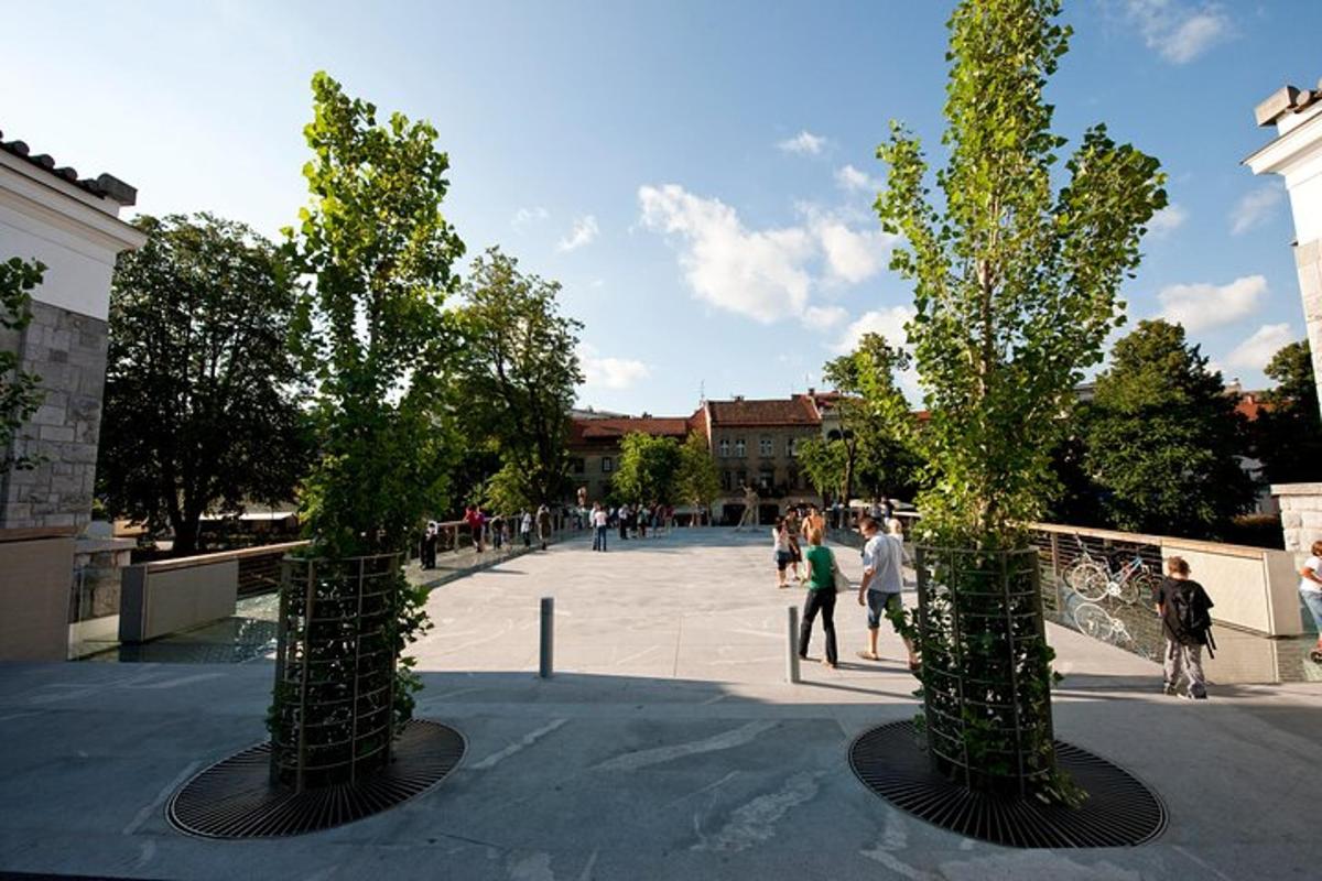 doi copaci într-o curte interioară cu oameni care se plimbă prin jur