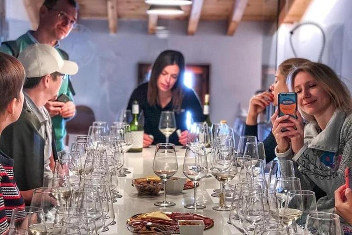 skupina lidí sedících u stolu s vinnými sklenicemi