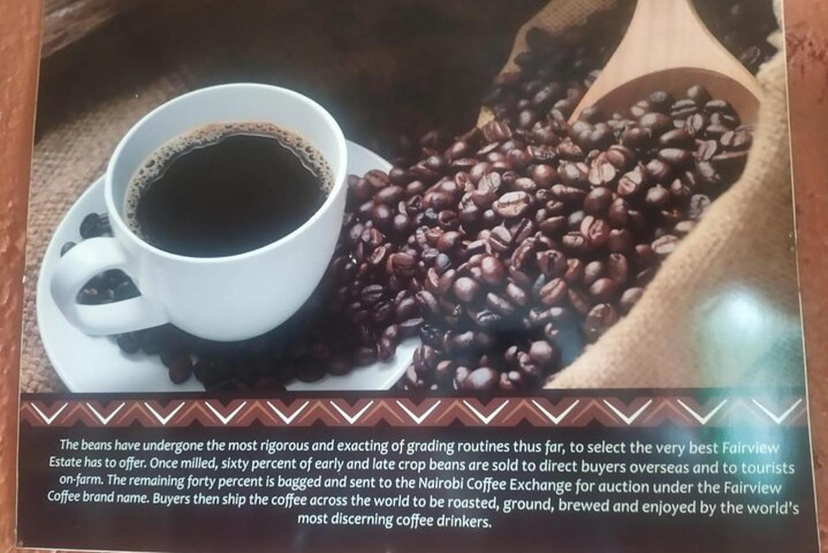 secawan kopi dan sepinggan biji kopi