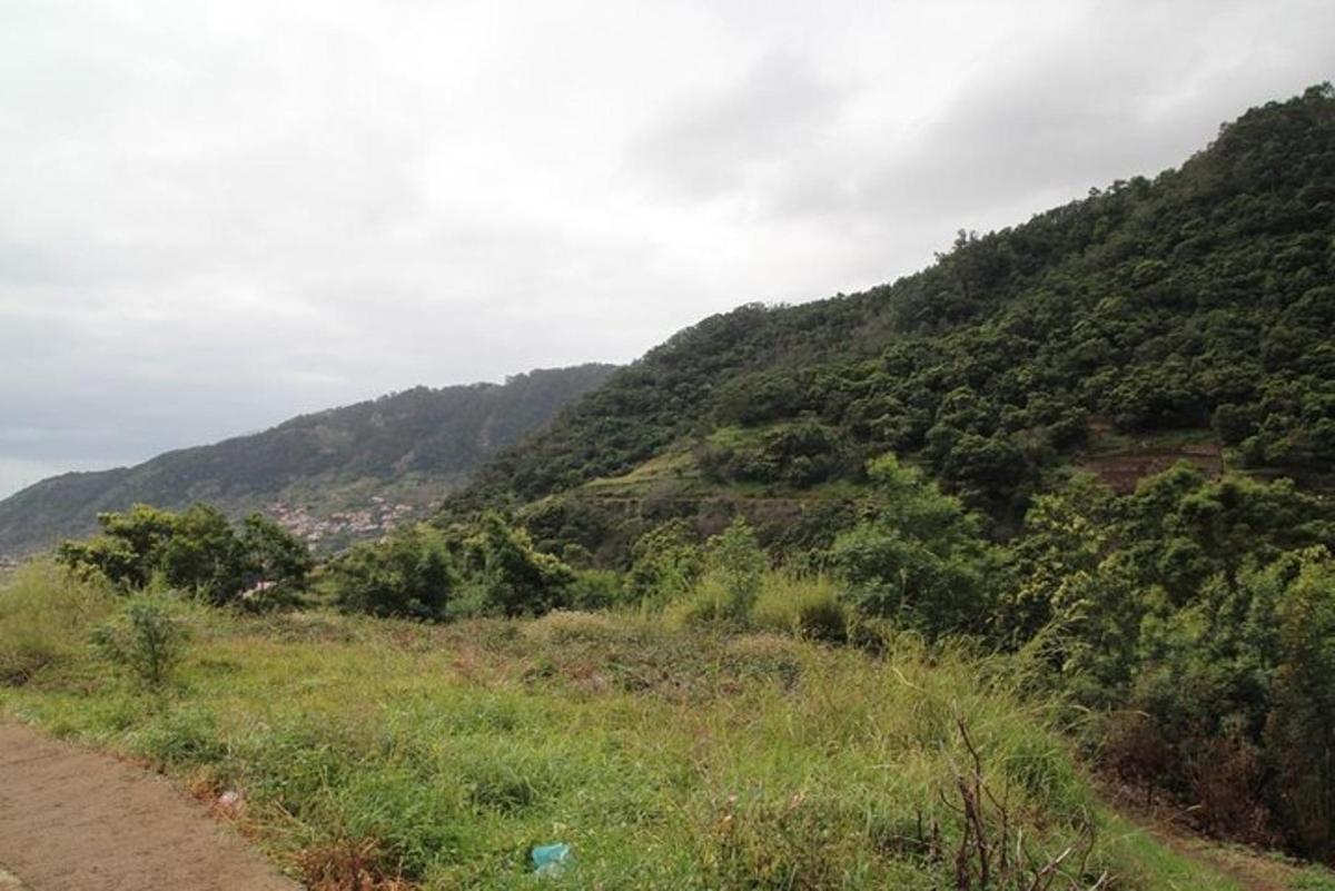 jalan tanah yang menuju ke gunung dengan pokok