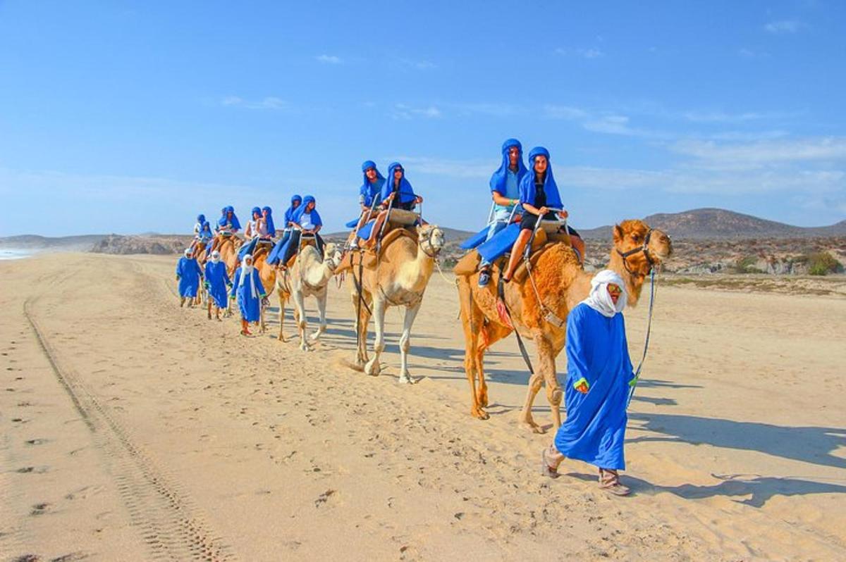 a group of people riding camels on the beach