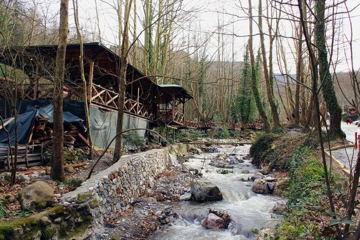 most přes řeku v lese
