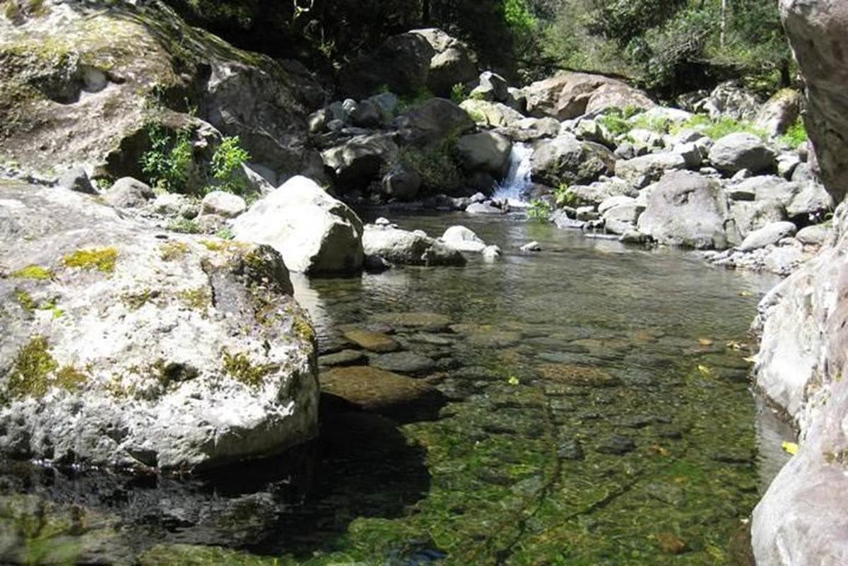 ένα ρεύμα νερού με βράχους και έναν καταρράκτη