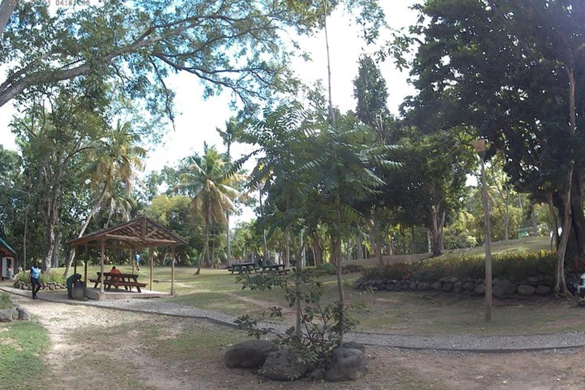 egy park piknikasztallal és fákkal